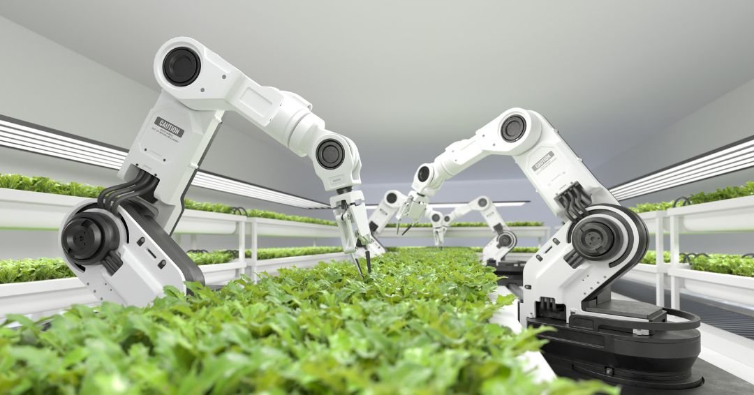 robots colaborativos en la siembra de plantas