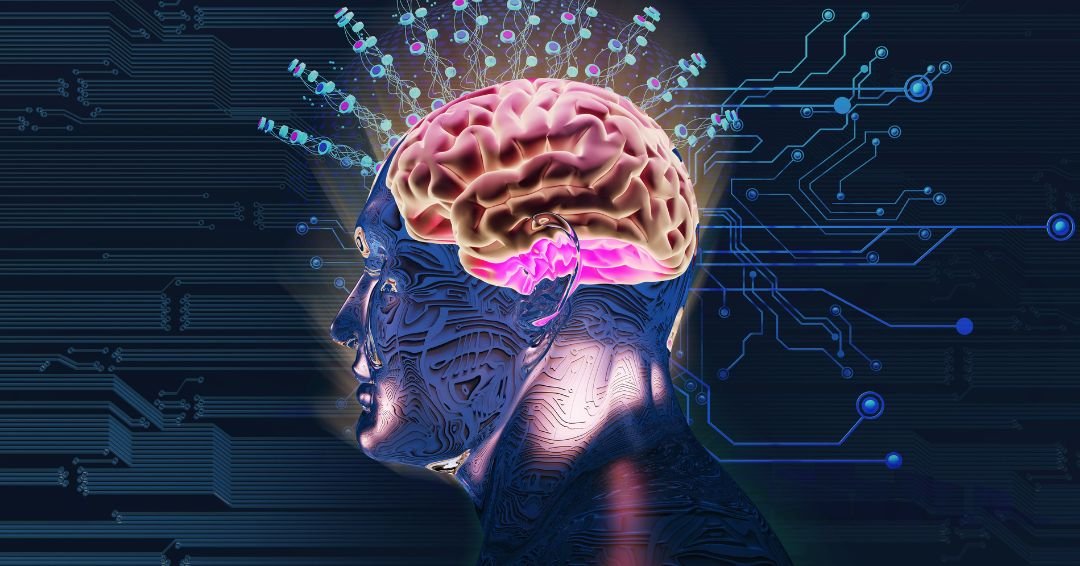 ¿De verdad usamos solo el 10% de nuestro cerebro? La ciencia tiene la respuesta