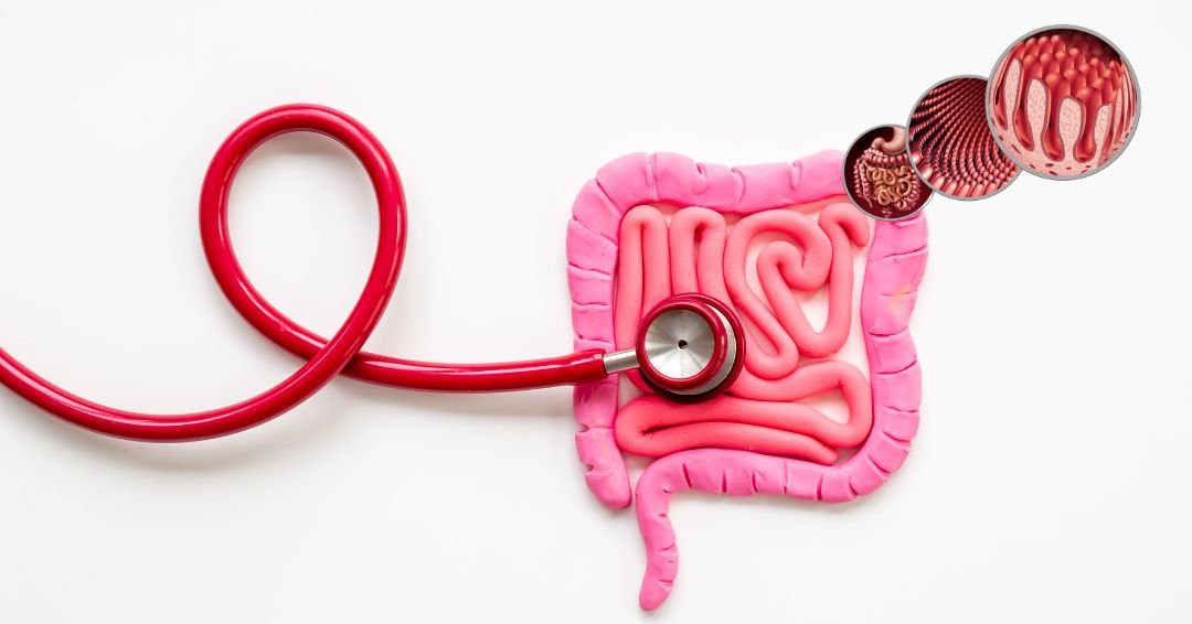 ¿Sabías que tus intestinos tienen «memoria»?; esto se sabe