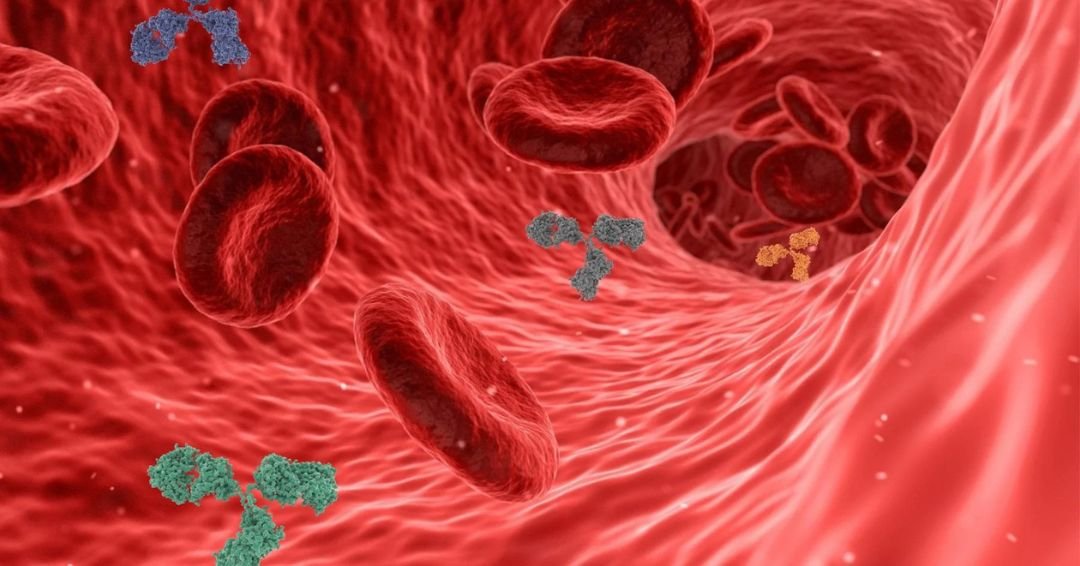 Microplásticos en la sangre humana